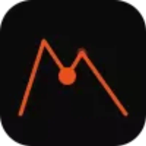 Peakified Official Logo